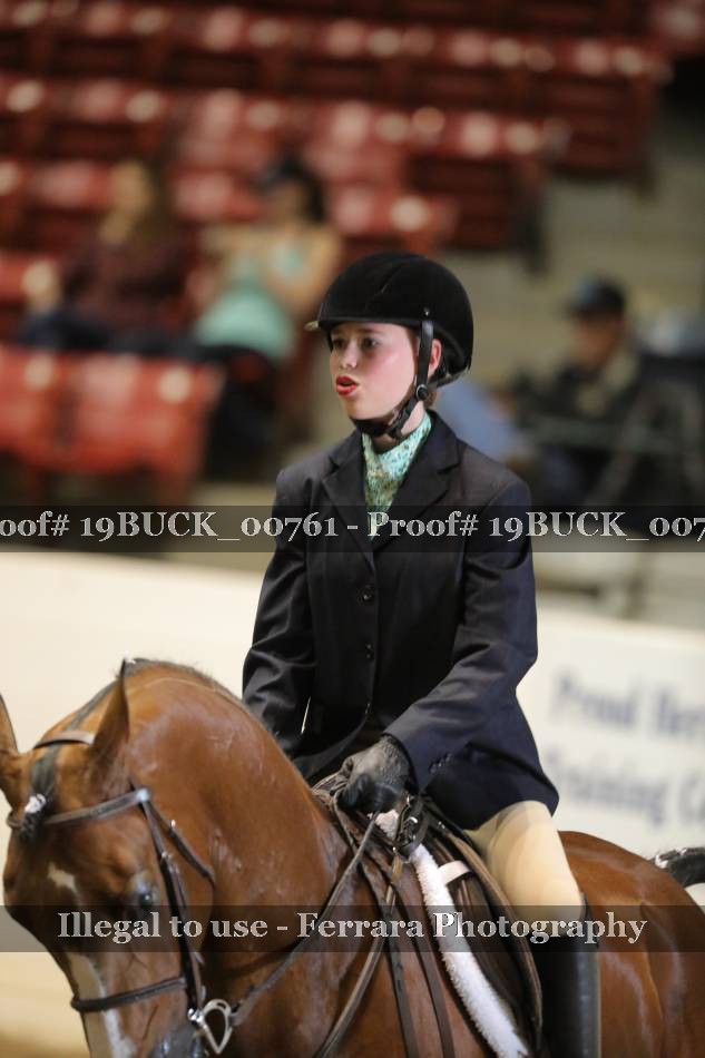Proof 19BUCK_00761
