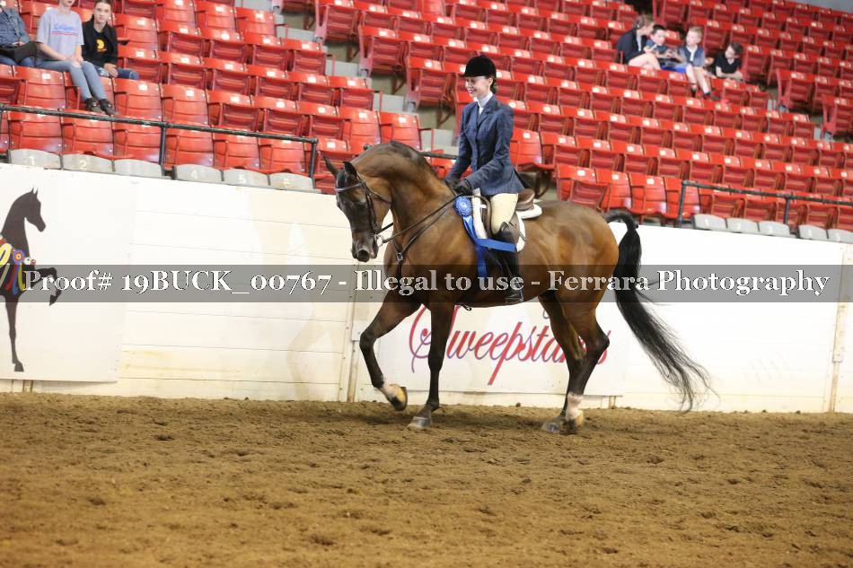 Proof 19BUCK_00767
