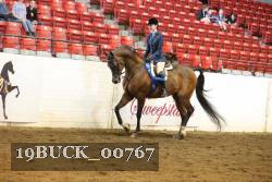 19BUCK_00767 proof