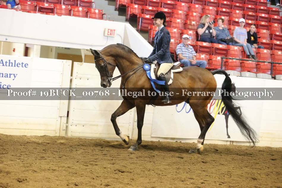 Proof 19BUCK_00768