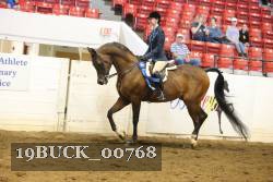 19BUCK_00768 proof