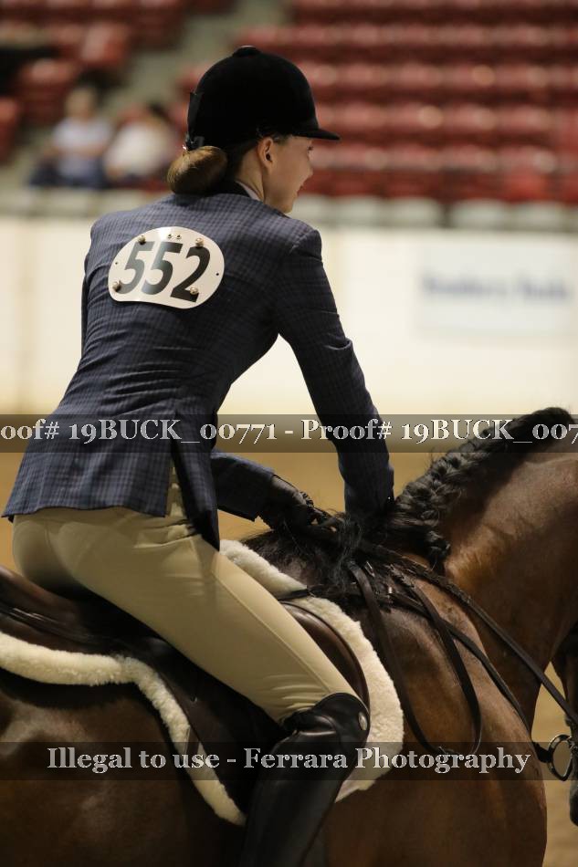 Proof 19BUCK_00771