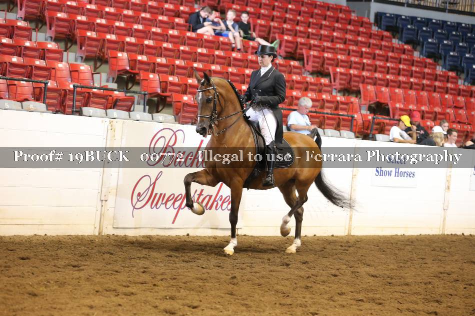 Proof 19BUCK_00772