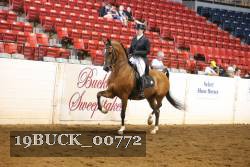 19BUCK_00772 proof