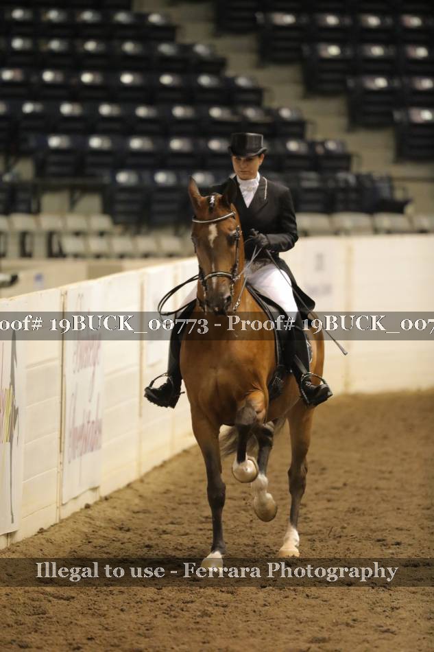 Proof 19BUCK_00773