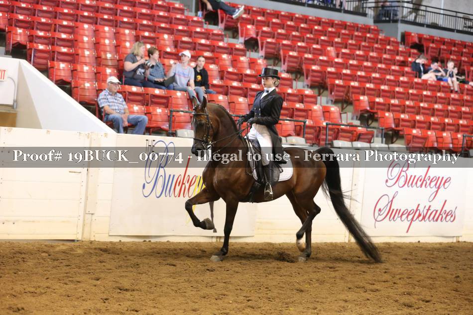 Proof 19BUCK_00774