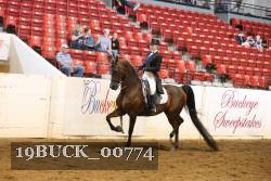19BUCK_00774 proof