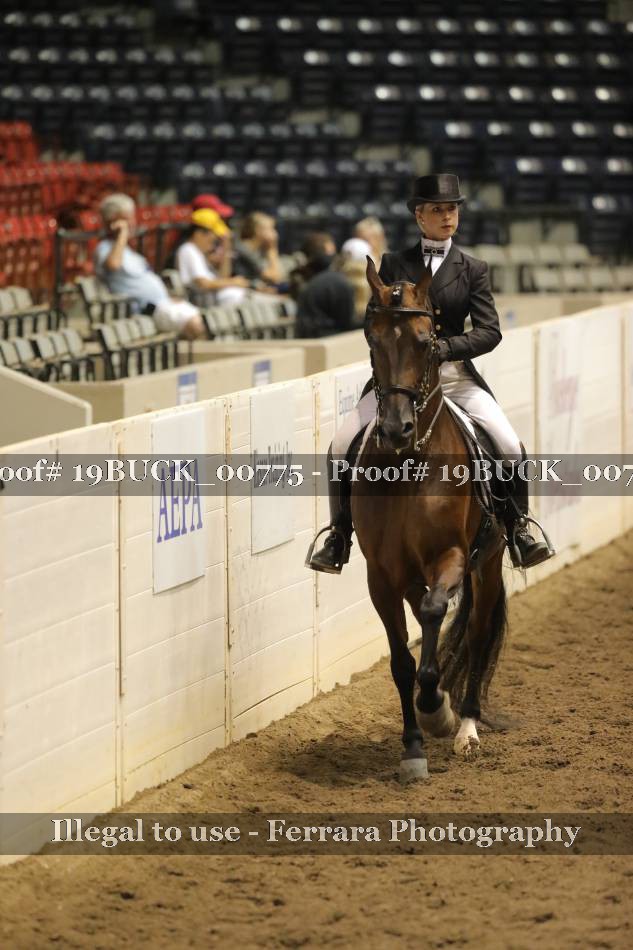 Proof 19BUCK_00775