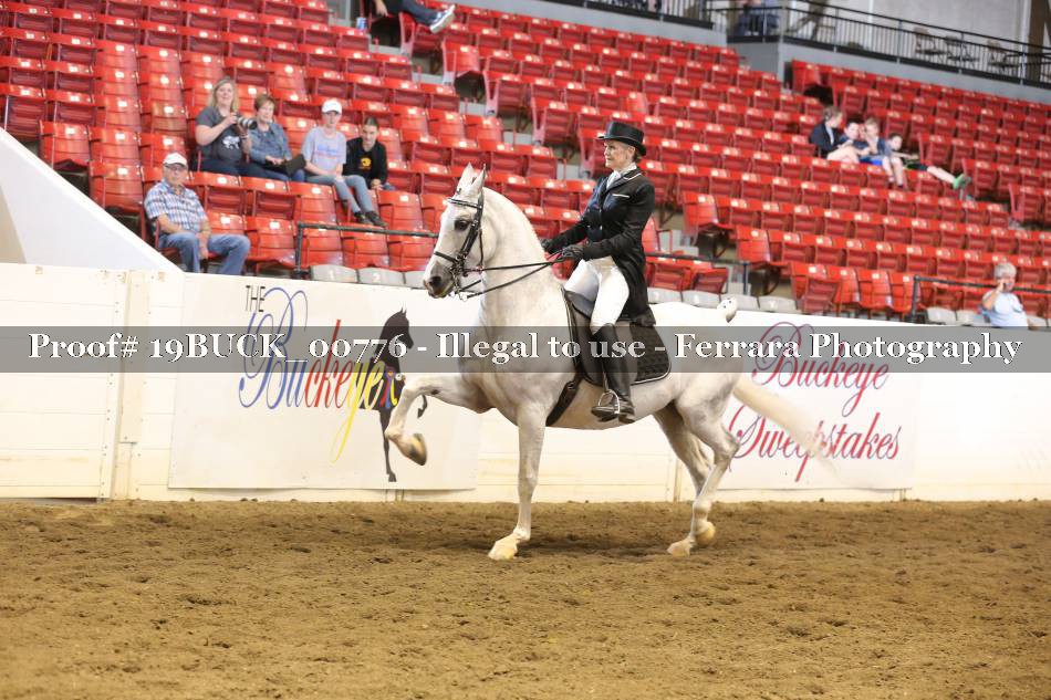 Proof 19BUCK_00776
