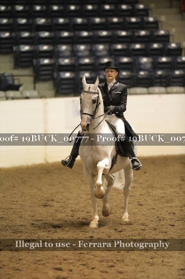Proof 19BUCK_00777