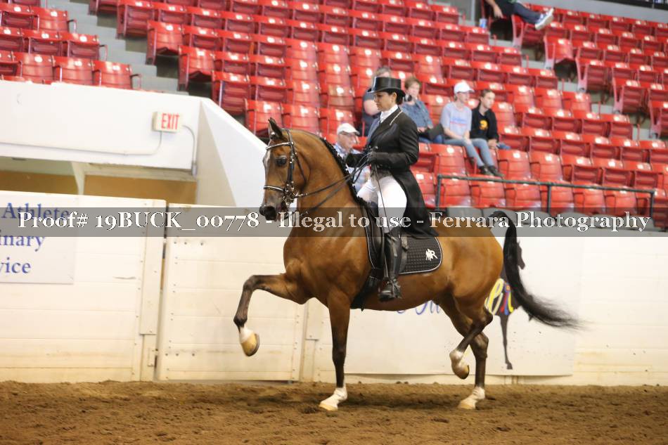Proof 19BUCK_00778