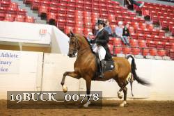 19BUCK_00778 proof