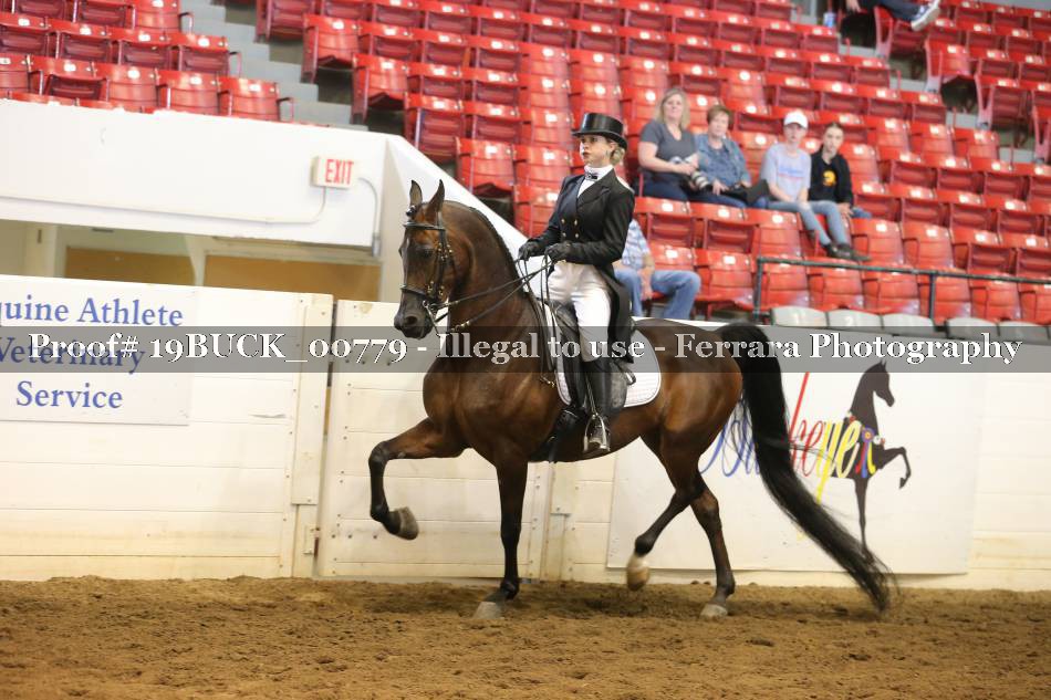 Proof 19BUCK_00779