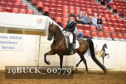 19BUCK_00779 proof