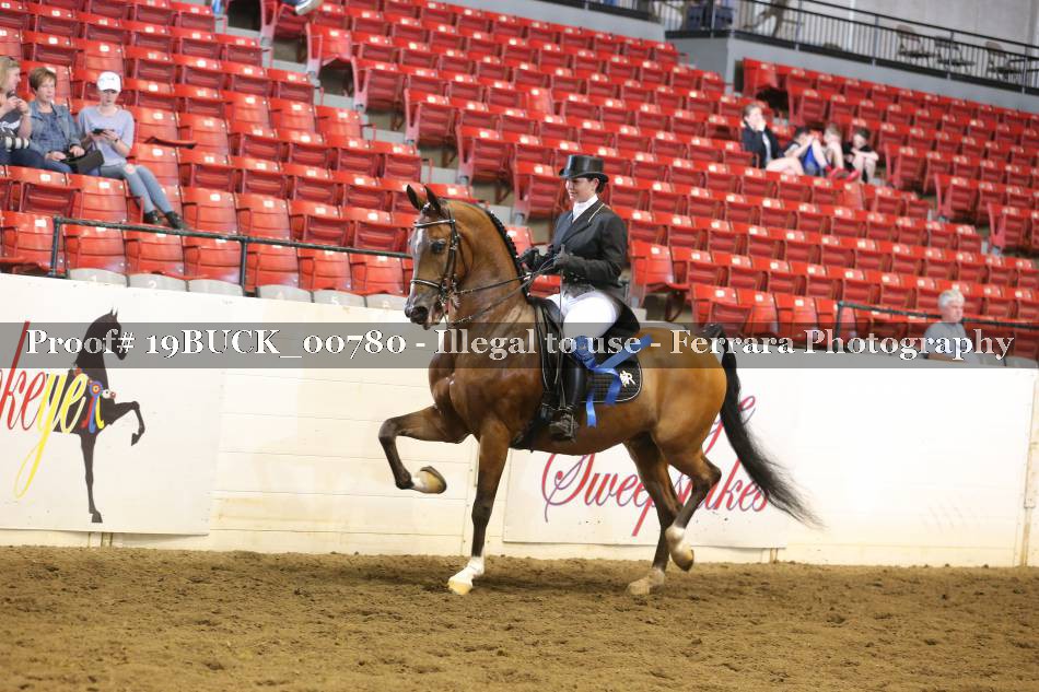 Proof 19BUCK_00780