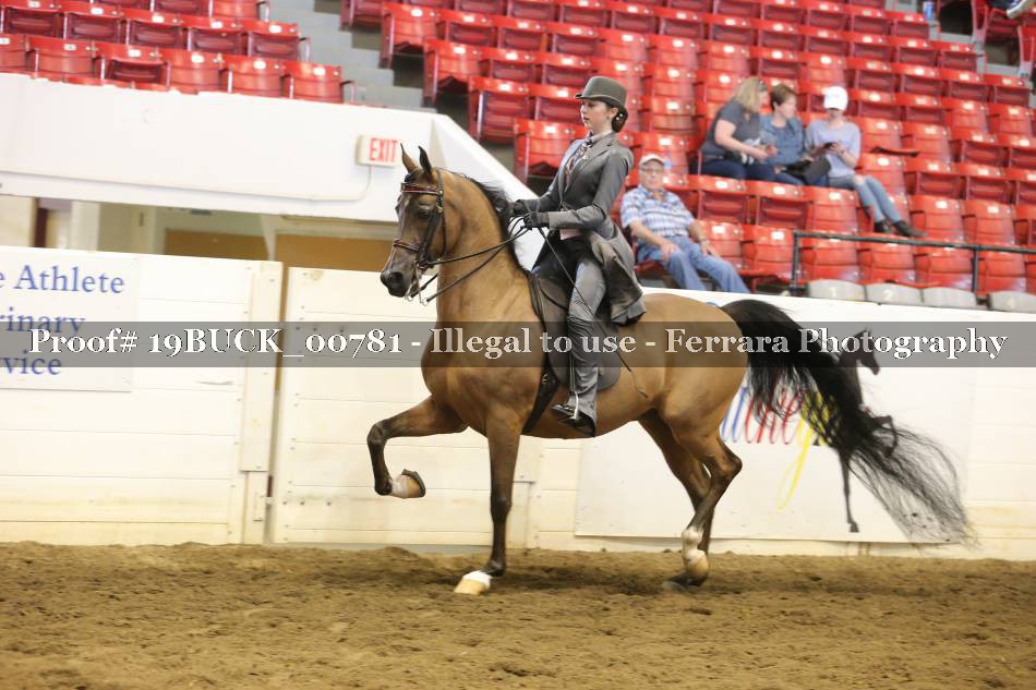 Proof 19BUCK_00781