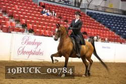 19BUCK_00784 proof