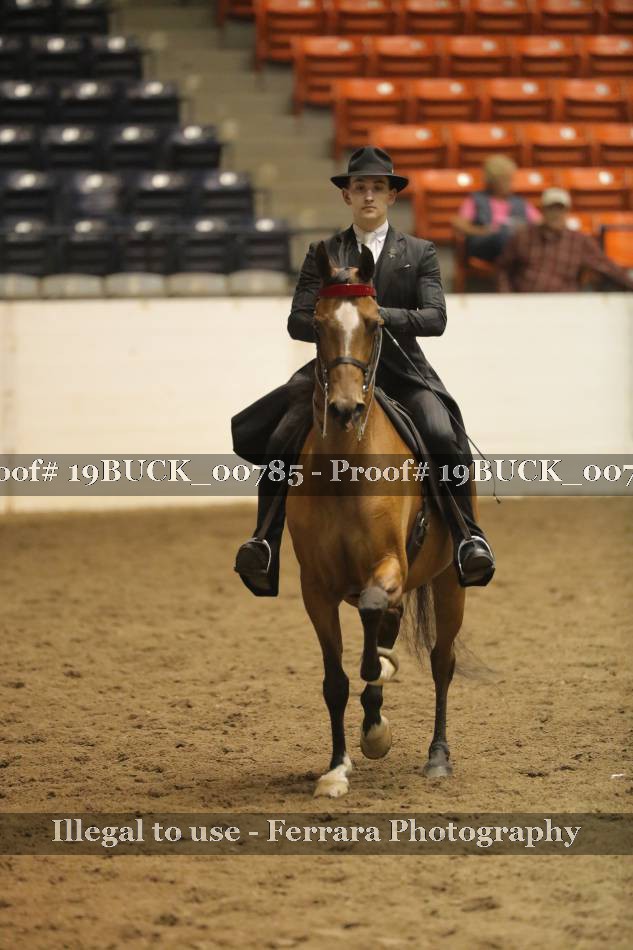 Proof 19BUCK_00785
