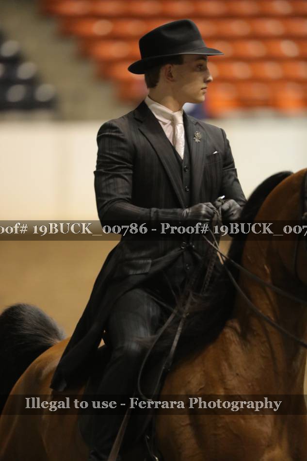 Proof 19BUCK_00786