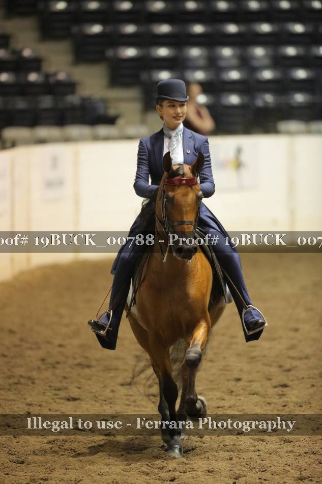 Proof 19BUCK_00788
