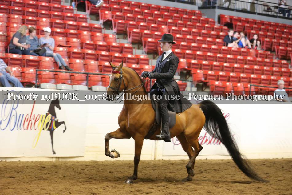 Proof 19BUCK_00789