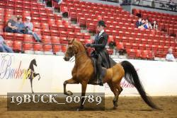 19BUCK_00789 proof