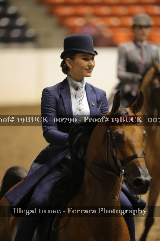 Proof 19BUCK_00790
