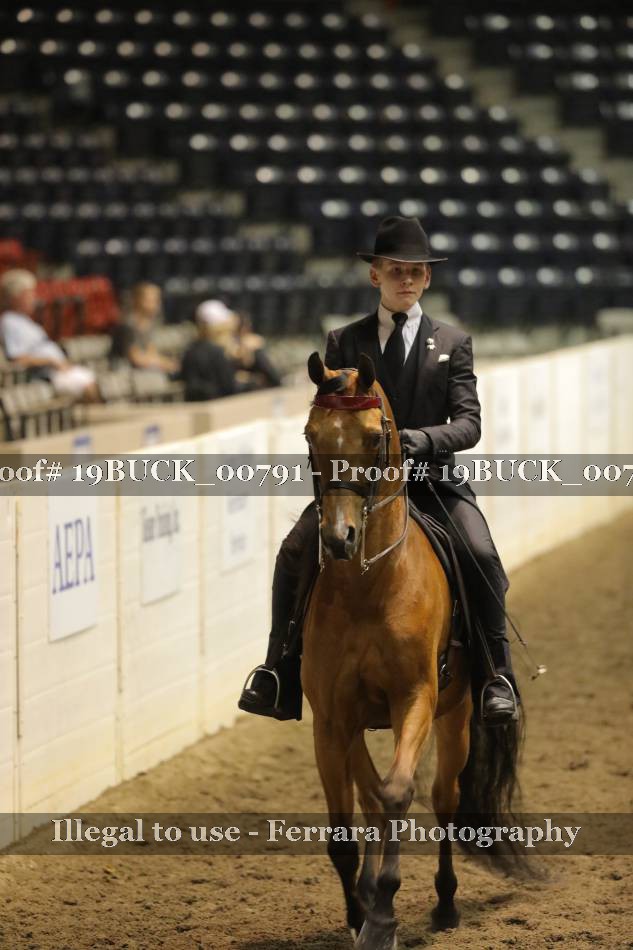 Proof 19BUCK_00791