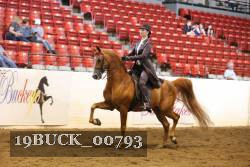 19BUCK_00793 proof