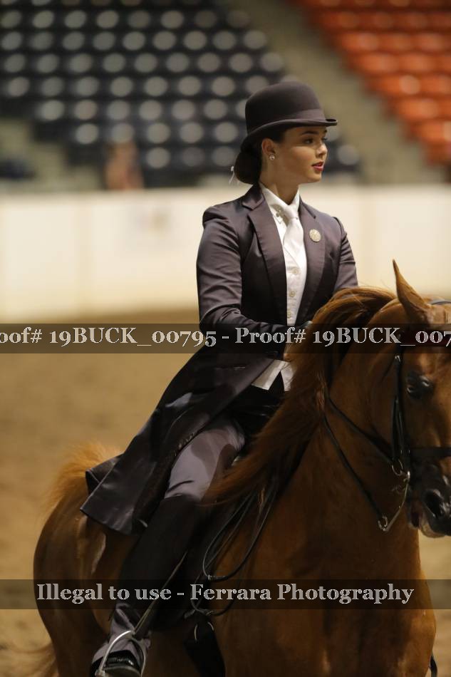 Proof 19BUCK_00795