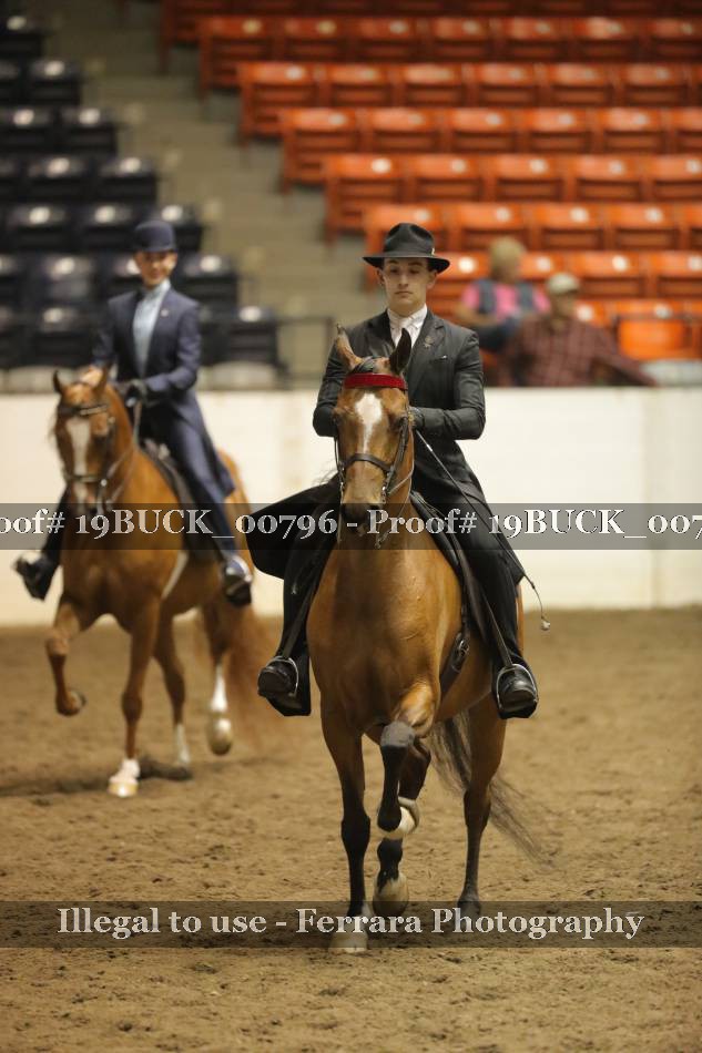 Proof 19BUCK_00796