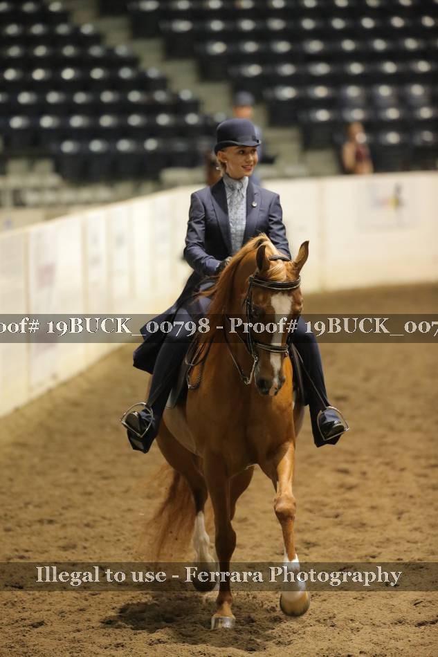 Proof 19BUCK_00798