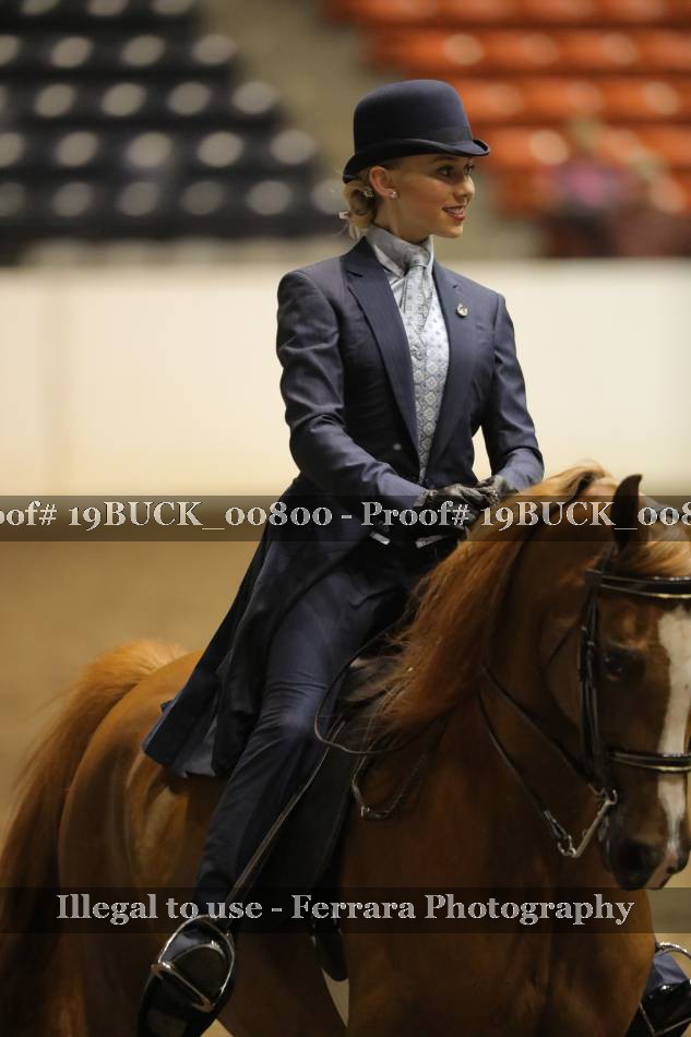 Proof 19BUCK_00800