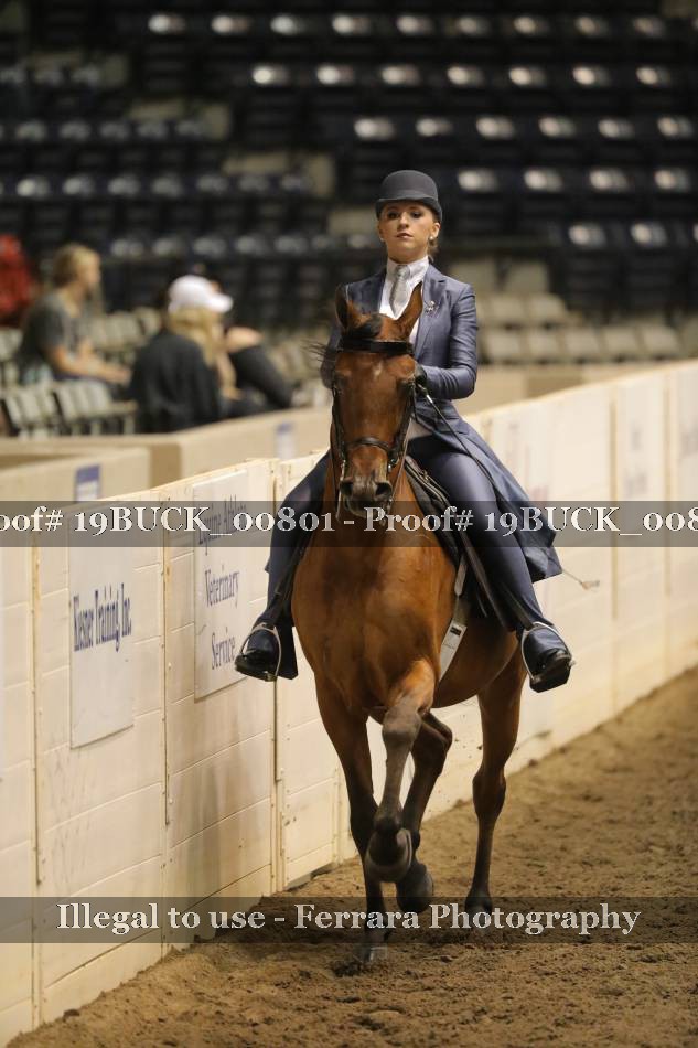 Proof 19BUCK_00801