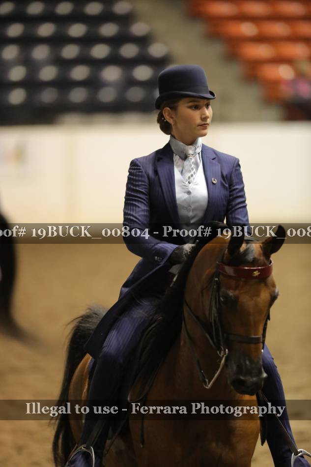 Proof 19BUCK_00804