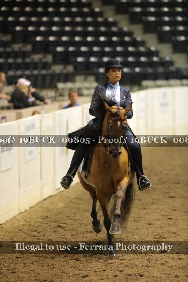 Proof 19BUCK_00805