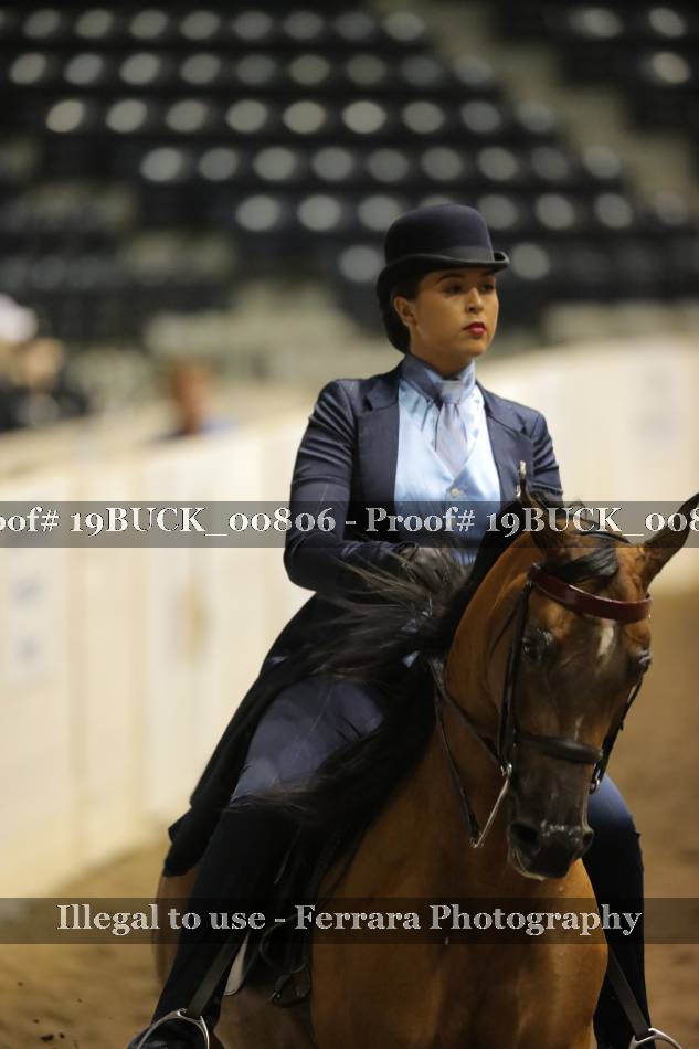 Proof 19BUCK_00806