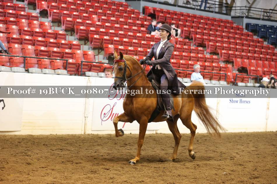 Proof 19BUCK_00807