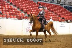 19BUCK_00807 proof