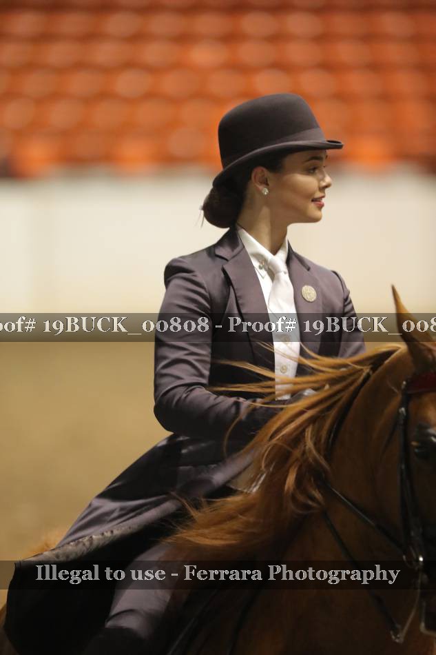 Proof 19BUCK_00808