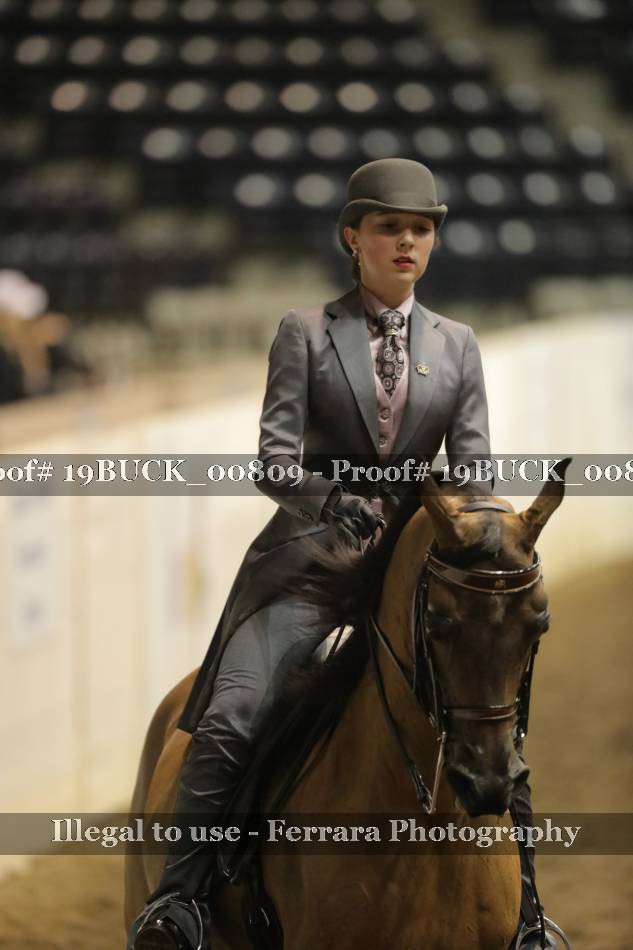 Proof 19BUCK_00809