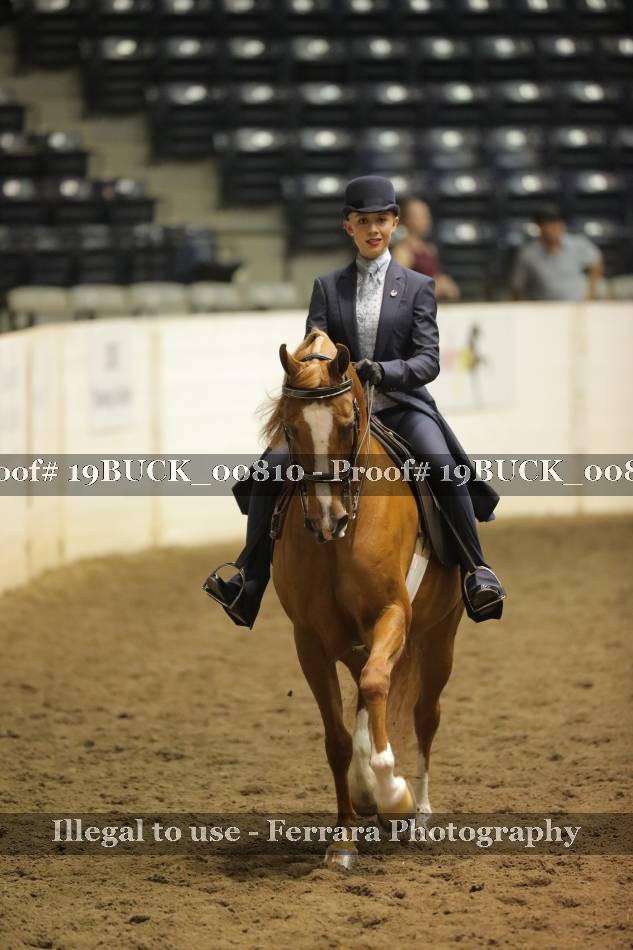 Proof 19BUCK_00810