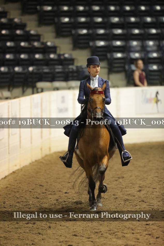 Proof 19BUCK_00813