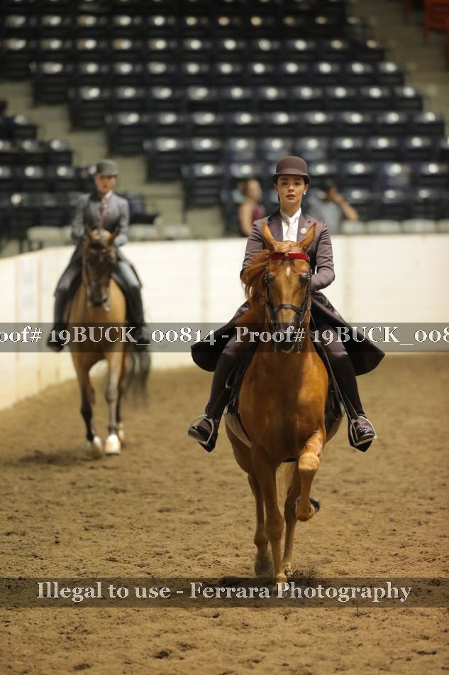 Proof 19BUCK_00814