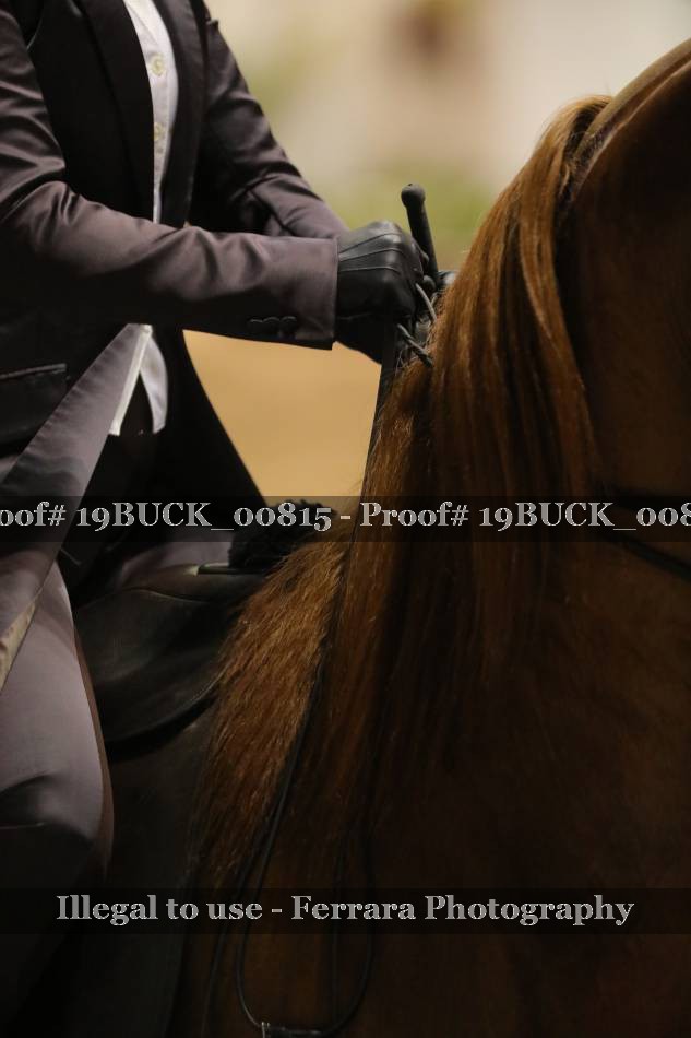 Proof 19BUCK_00815