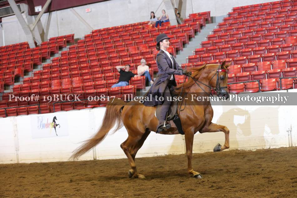 Proof 19BUCK_00817