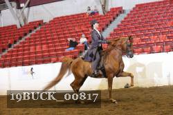 19BUCK_00817 proof