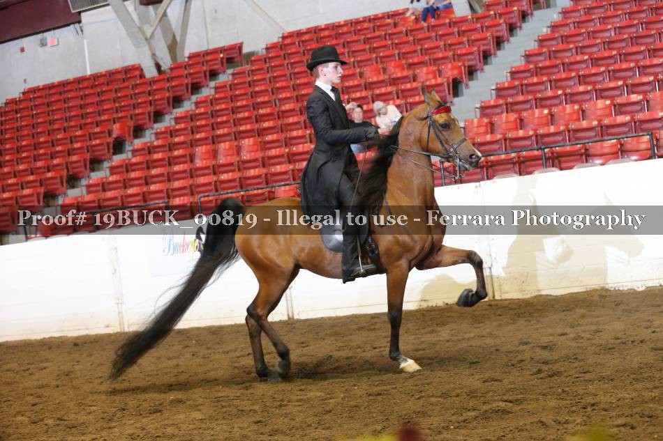Proof 19BUCK_00819