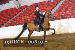 19BUCK_00819 proof