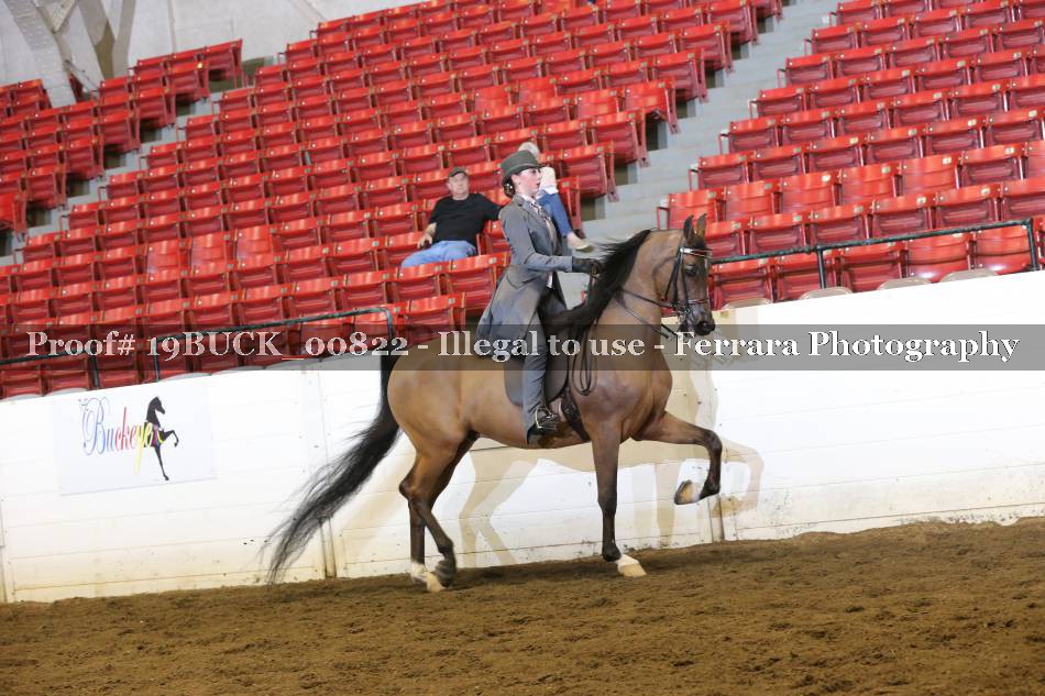Proof 19BUCK_00822